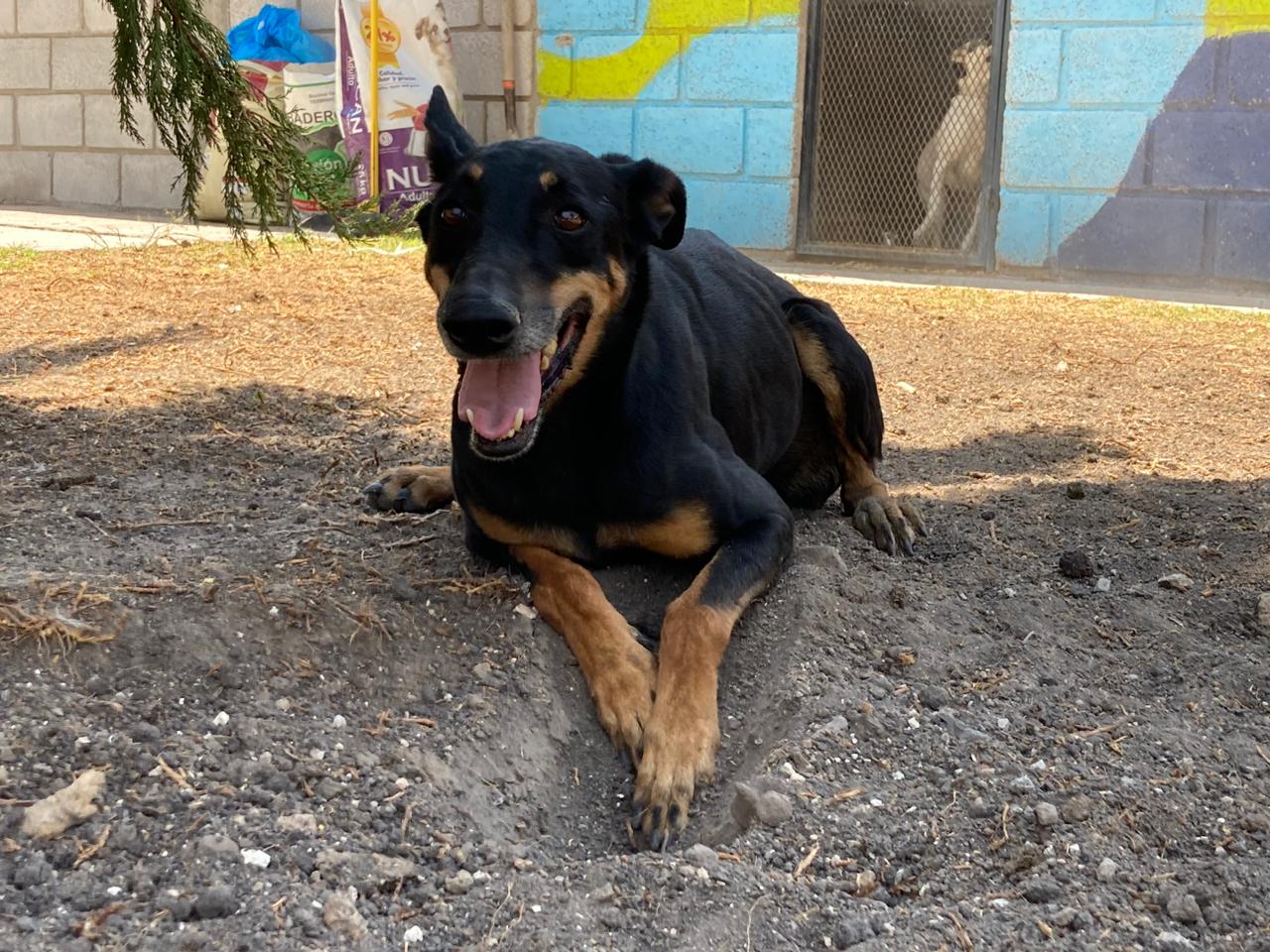 Foto de Tana