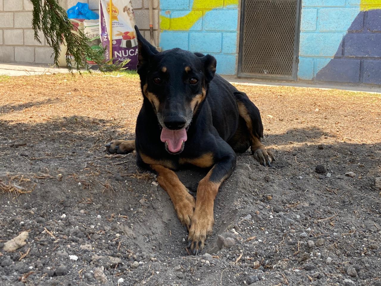 Foto de Tana